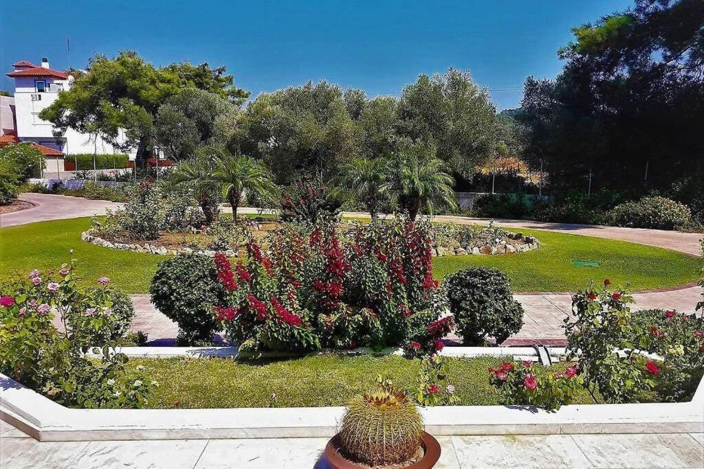 Fiore Di Rodi - Private Pool, Jacuzzi And Barbecue Ialysos  Exterior foto